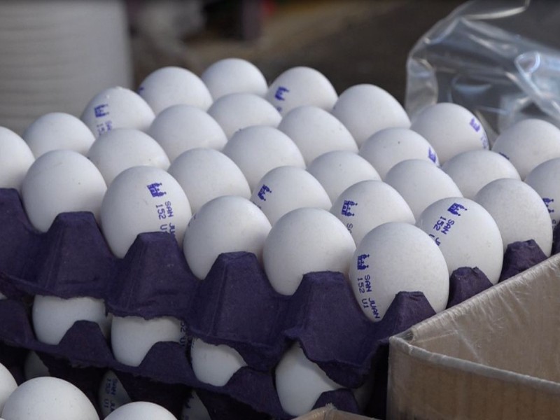 Incrementa precio del huevo en mercados toluqueños