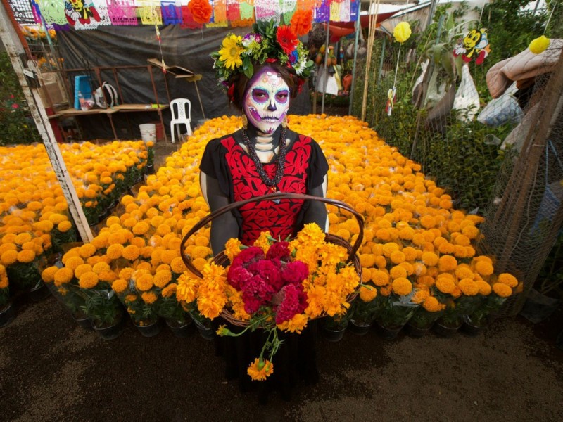 Incrementa producción de flor de cempasúchil por Día de Muertos