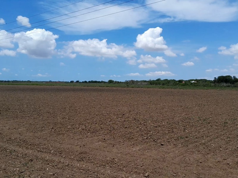 Incrementa renta de parcelas ejidales en el valle de Guasave