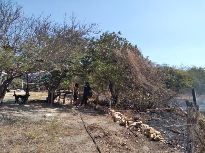 Incrementa riesgo de incendio de pastizales por rachas de viento