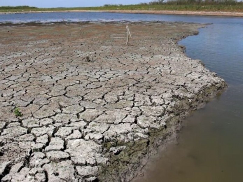 Incrementa sequía en el Estado de Veracruz