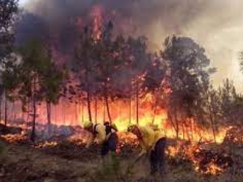 Incrementan 18% incendios forestales en este 2021