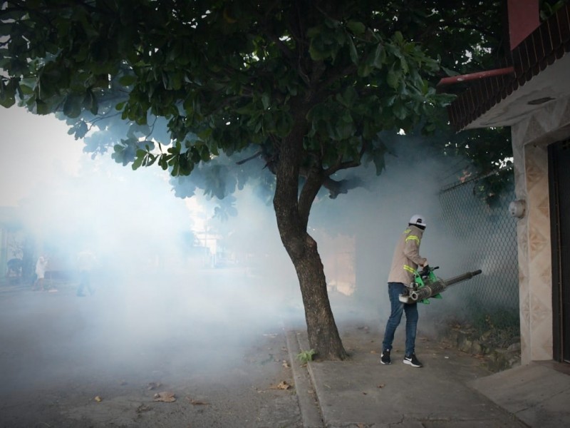 Incrementan casos de dengue en Veracruz más 50%