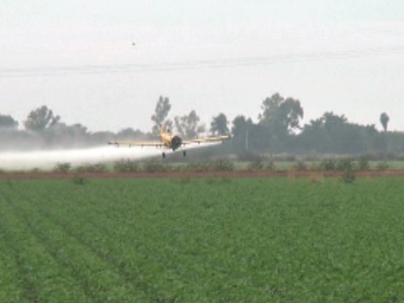 Incrementan denuncia de avionetas fumigadoras: PC