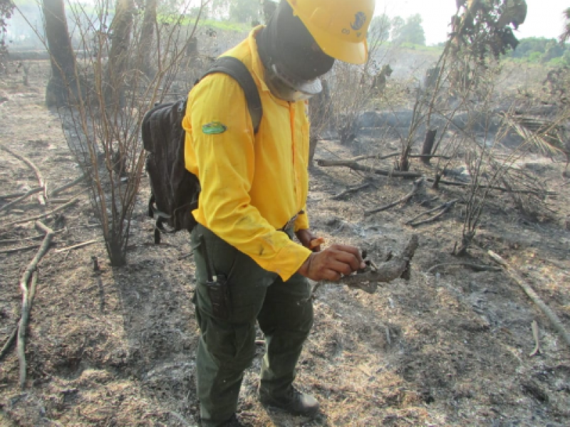 Incrementan incendios en Áreas Naturales Protegidas de Chiapas