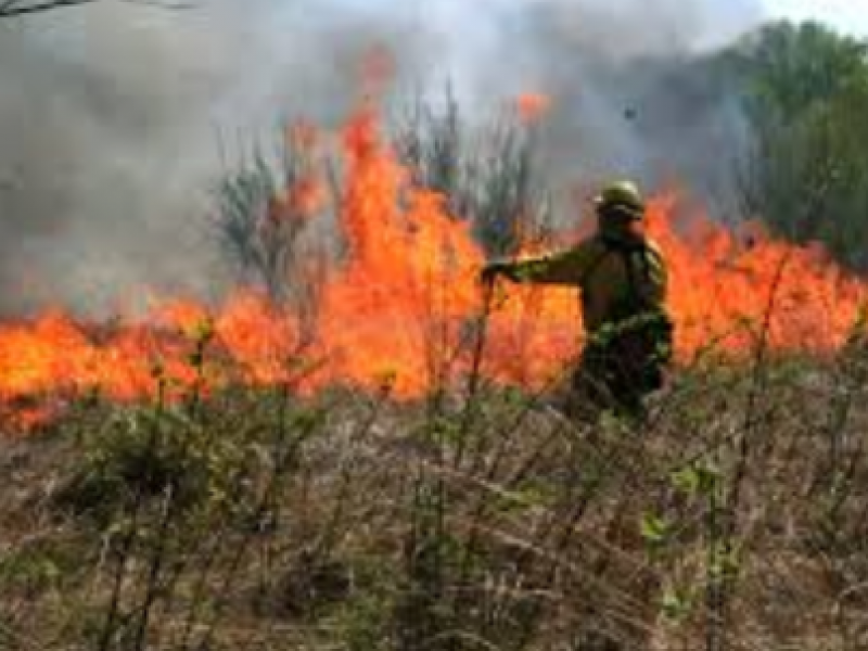 Incrementan incendios forestales en comparación con 2019