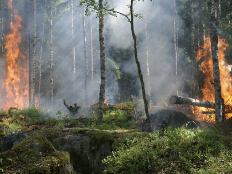 Incrementan incendios forestales en Guanajuato