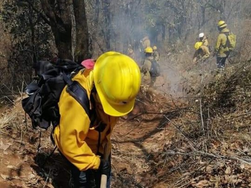 Incrementan incendios forestales en Michoacán más del 200%