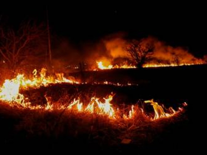 Incrementan incendios, llaman a evitar quemas clandestinas, no tirar bachichas