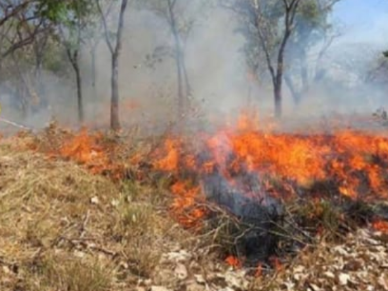 Incrementan incendios, por quemas agrícolas