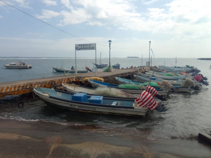 Incrementan la captura de peces por lluvias en Veracruz