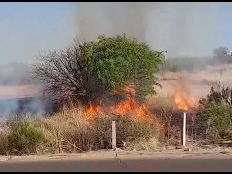 Incrementan llamados por incendios en la frontera