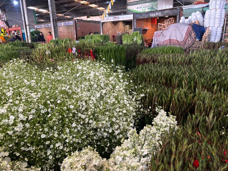 Incrementan precios de flor de Día de Muertos en mercado de Tenancingo Incrementan precios de flor de Día de Muertos en mercado de Tenancingo