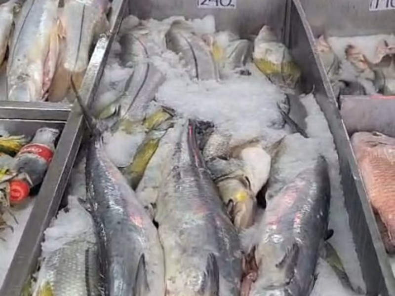 Incrementan ventas en pescados y mariscos en Veracruz