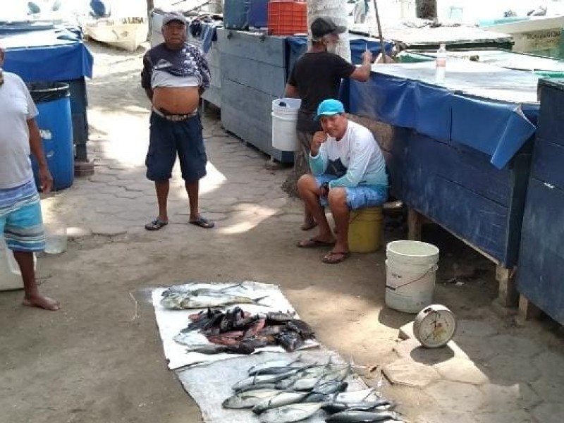 Incrementará a 7 mil 500 pesos, el apoyo de BIENPESCA