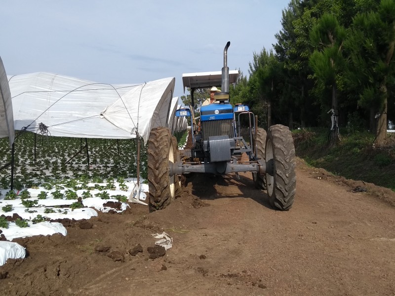 Incremento de combustible golpea economía de agricultores.