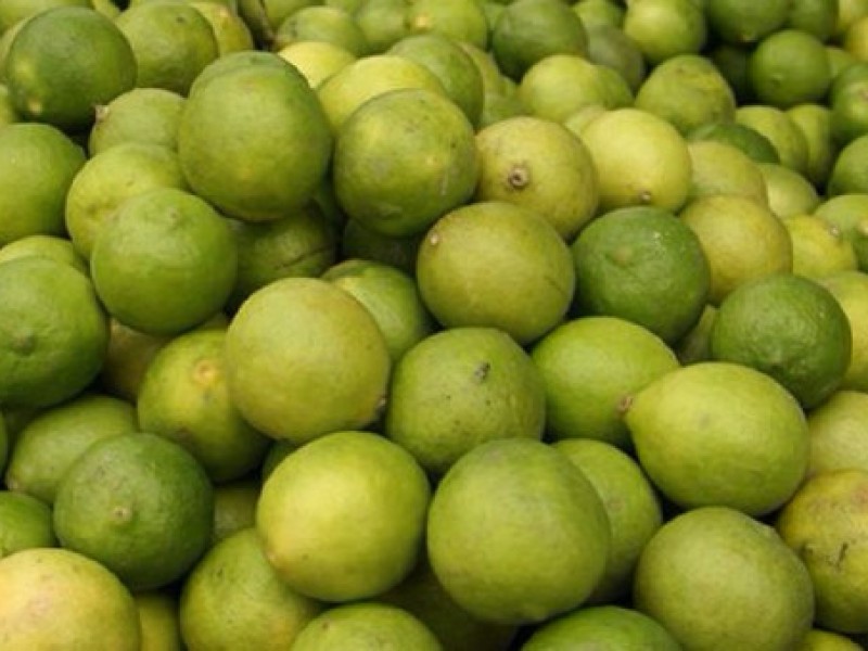 Incremento en costos de producción aumenta precio del limón