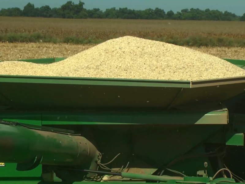 Indiferencia del Gobierno Federal afecta al agricultor, no el T-MEC