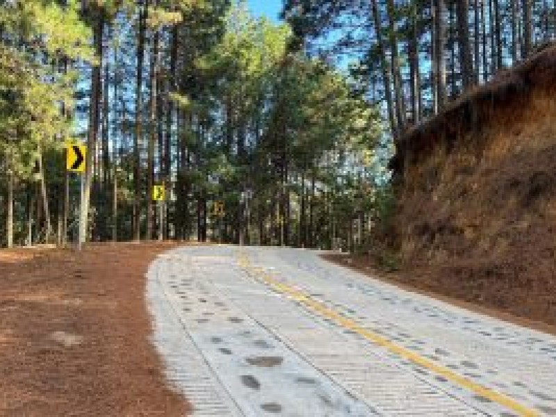 Indigenas de Durango tendrán trabajo por caminos artesanales