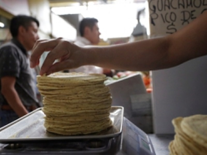 Industriales de la masa y la tortilla anuncian protestas.