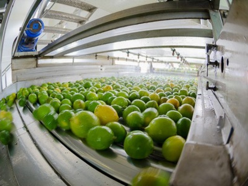 Industrialización de limón, visión al futuro