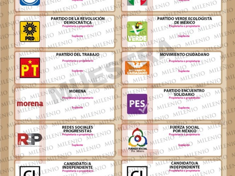 INE aprueba boleta electoral para Elecciones del 6 de junio