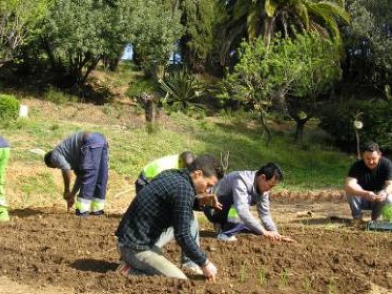 INEA impulsa acciones a favor del medio ambiente