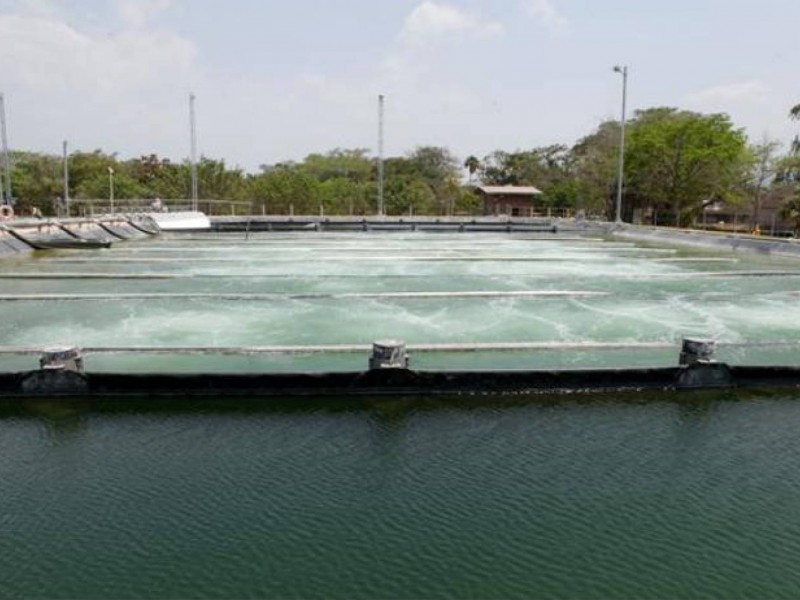 Ineficiente tratamiento de aguas residuales