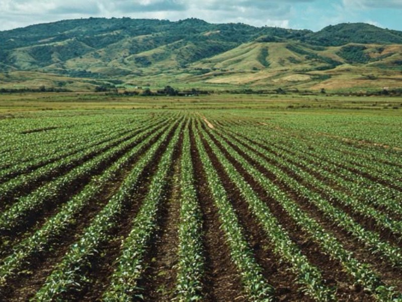 INEGI Baja California Sur trabaja en Encuesta Nacional Agropecuaria con productores locales