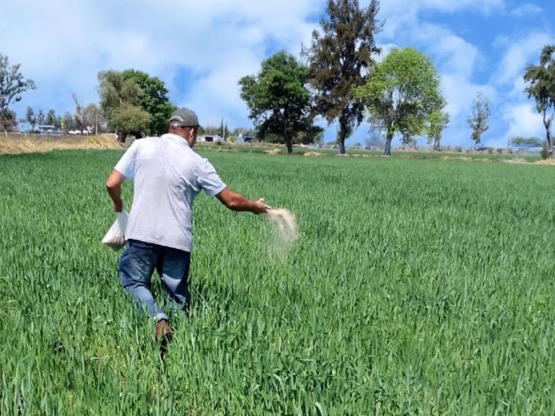 Inegi iniciará censo agropecuario en Zamora