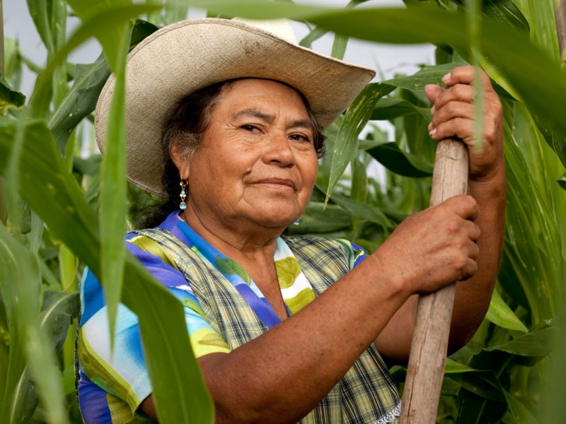 INEGI muestra estadísticas agropecuarias por día internacional de la mujer