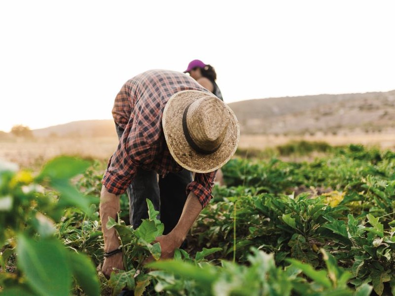 INEGI muestra estadísticas de agua para el uso agrícola