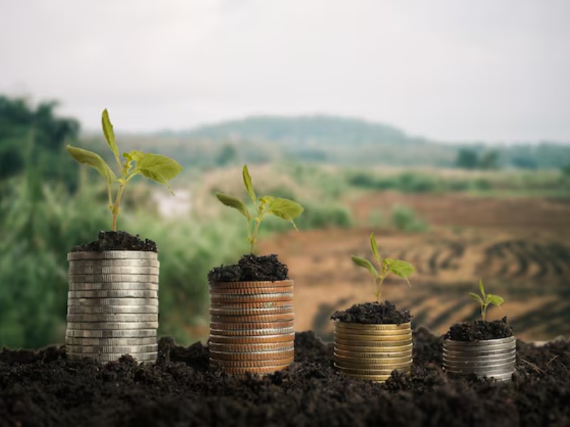 INEGI: Nayarit lidera la caída económica trimestral; el campo se desploma 29% INEGI: Nayarit lidera la caída económica trimestral; el campo se desploma 29%