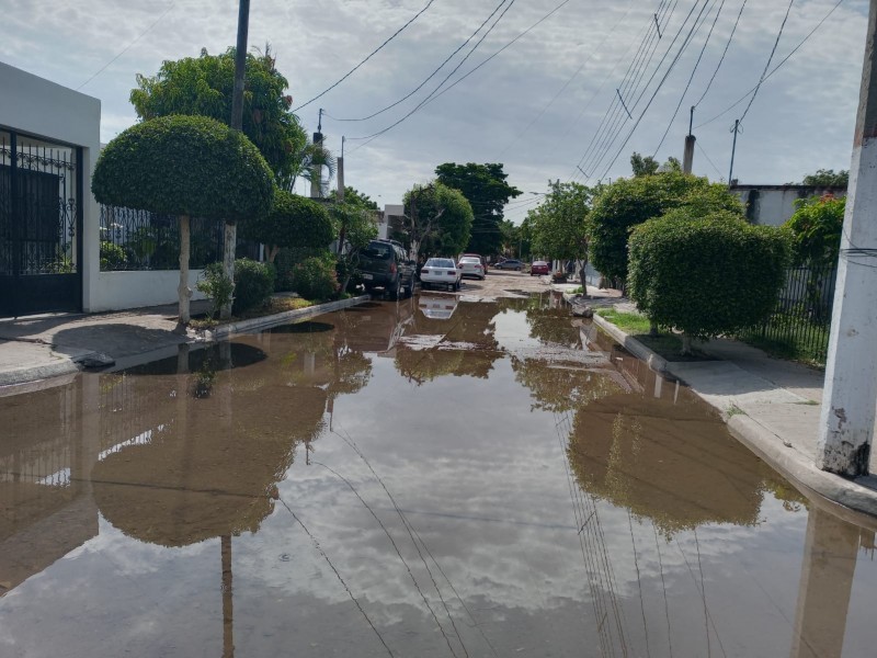 Infonavit Macapule entre aguas negras y drenajes colapsados