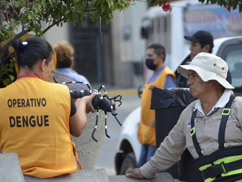 Informan resultados de un estudio de seroprevalencia del dengue