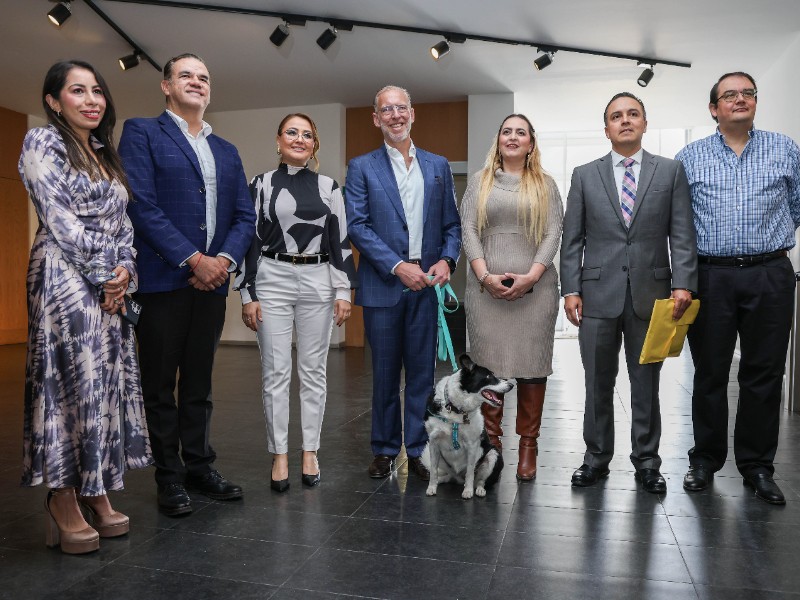 Ingresan al Congreso de Querétaro, ley de bienestar animal
