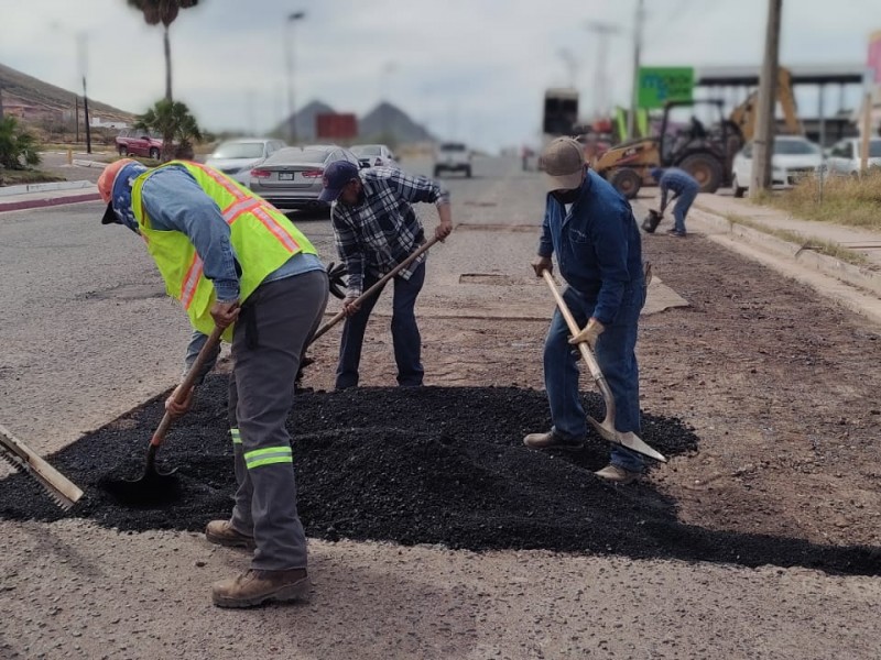 Inicia bacheo en bulevar Luis Encinas