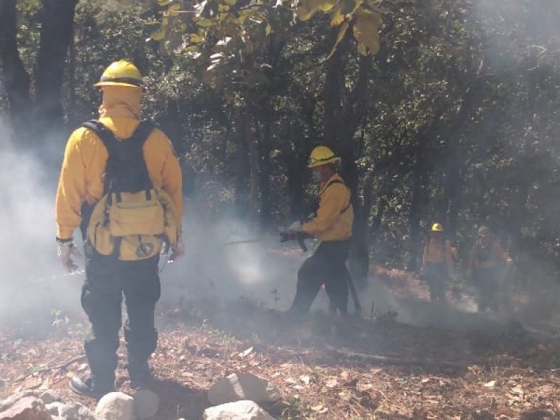 Inicia CONAFOR acciones de prevención de incendios