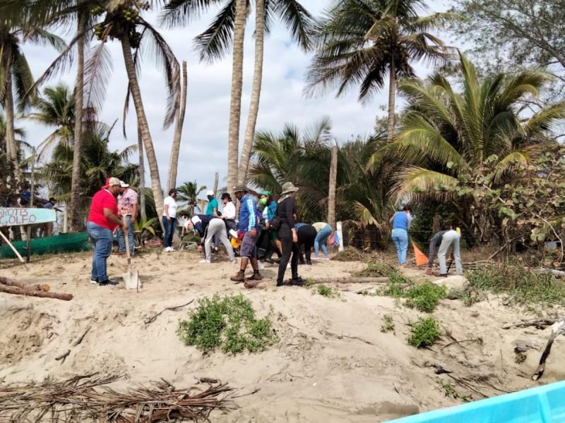 Inicia construcción de corrales en campamentos tortugueros de Tuxpan