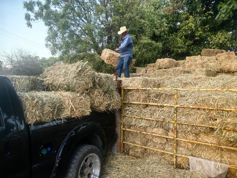 Inicia en Culiacán entrega de pacas de alimento para ganado