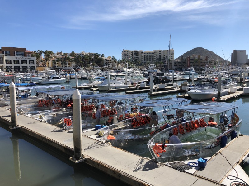 Inicia en Los Cabos el avistamiento de ballenas