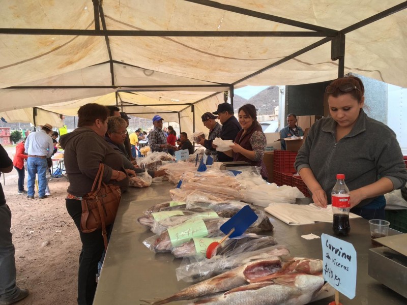 Inicia Feria de Mariscos al norte