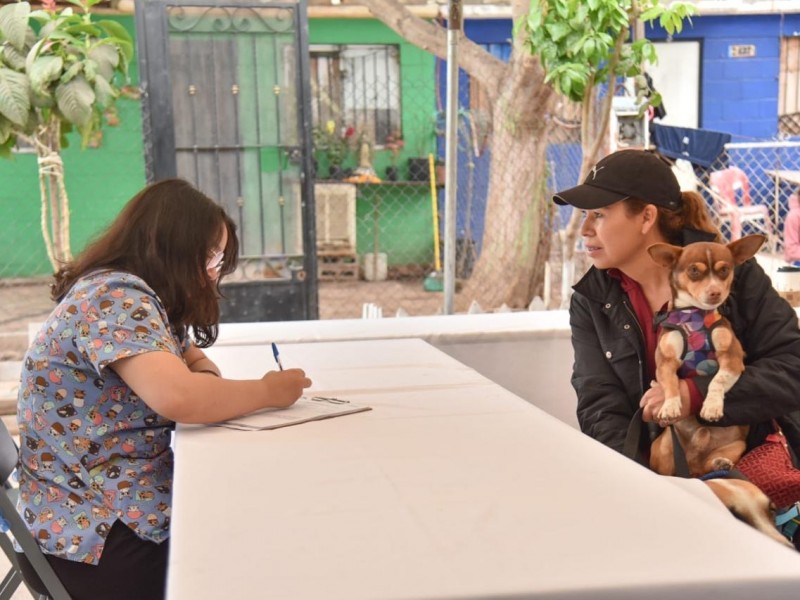 Inicia Jornada Alterna de Esterilización de Mascotas en Ahome