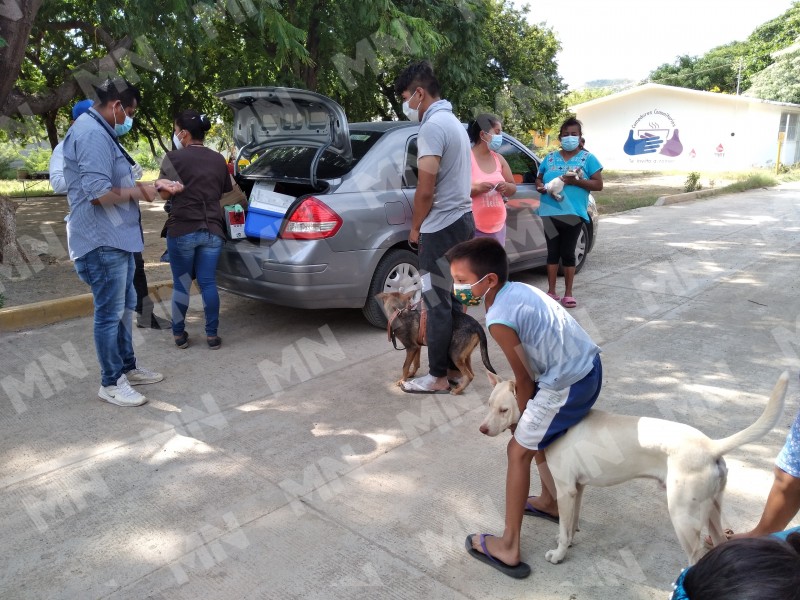 Inicia jornada de vacunación antirrábica canina y felina