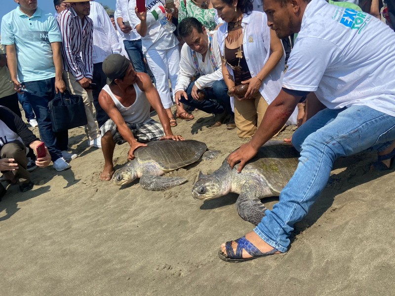 Inicia la Expo Tortuga Marina 2022 en Playa Azul