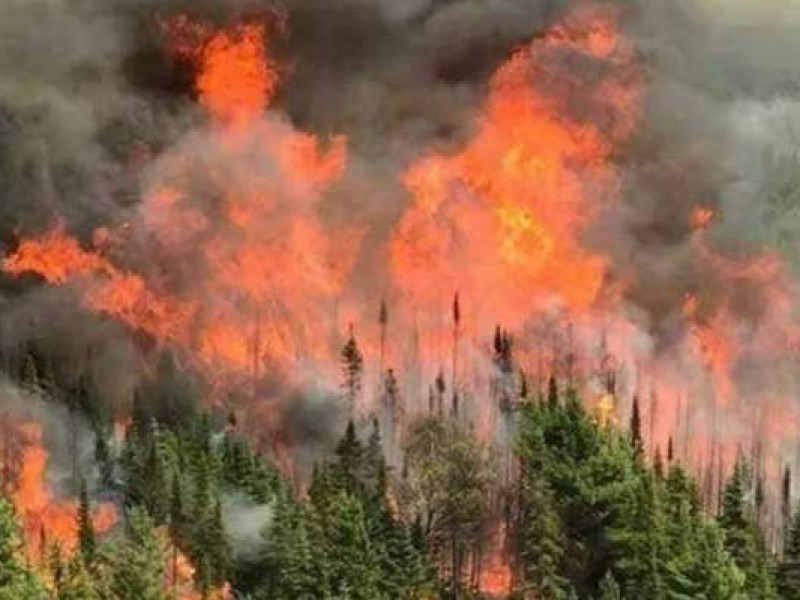 Inicia la temporada de incendios forestales en Veracruz