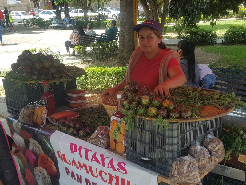 Inicia la venta de pitayas