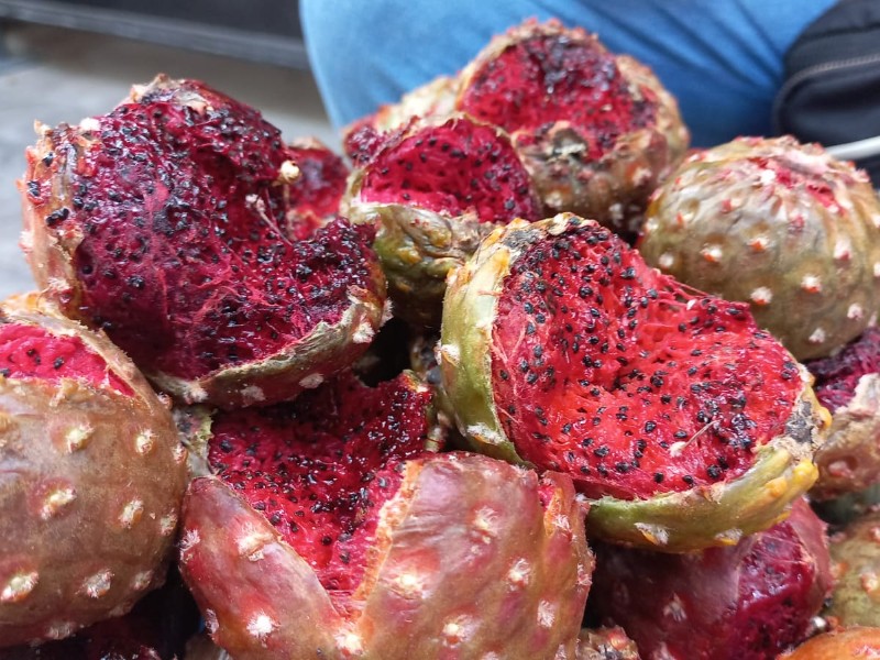 Inicia la venta de pitayas en el centro de Hermosillo