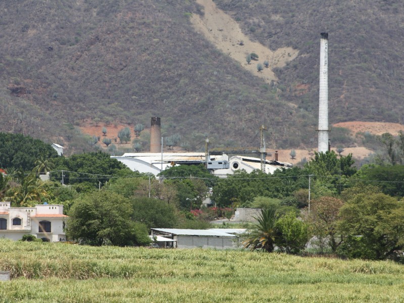 Inicia la zafra formalmente en la región de Calipan