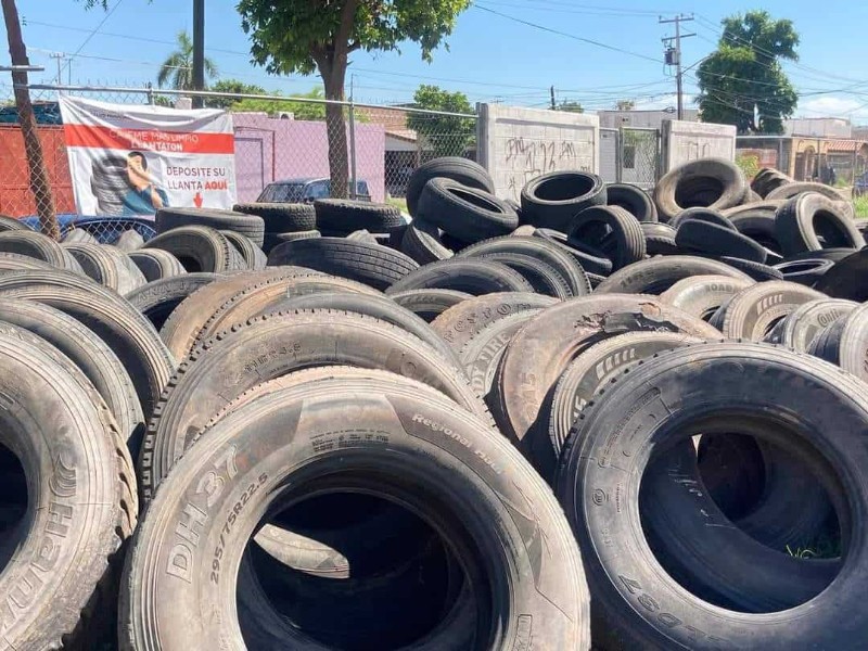 Inicia Llantatón 2025 en Cajeme para prevenir dengue y contaminación